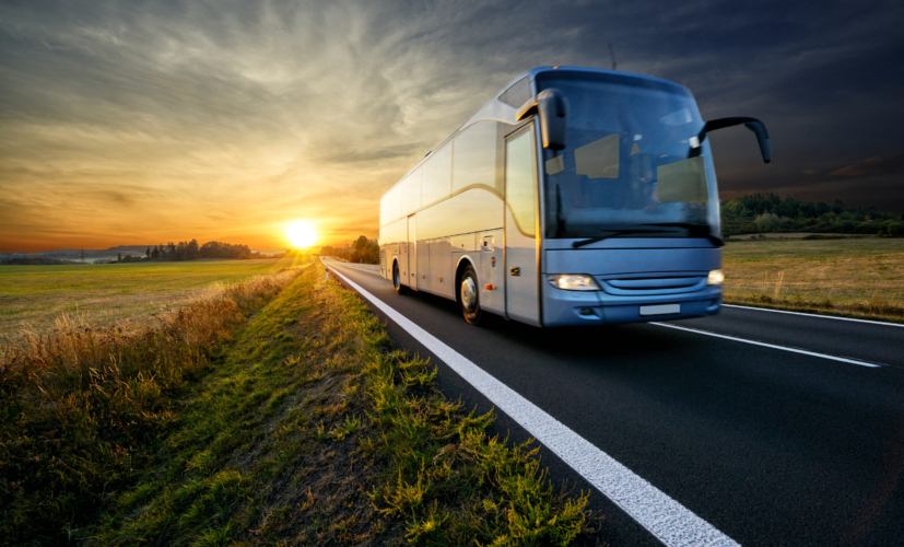 Buses