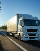 suspension arm links and elastic joints